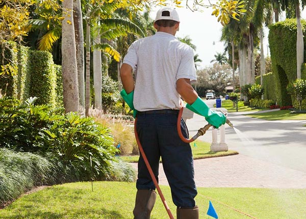 About Tivoli NY Pest Control